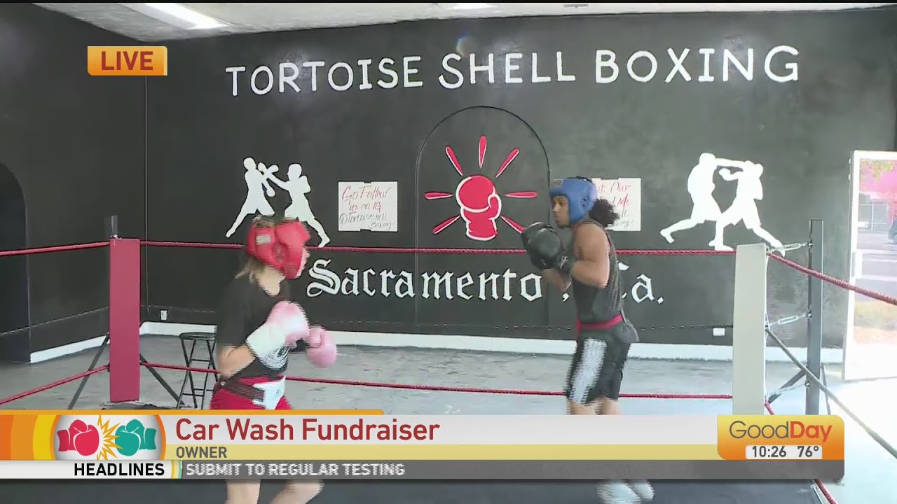 Tortoise Shell Boxing Fundraiser