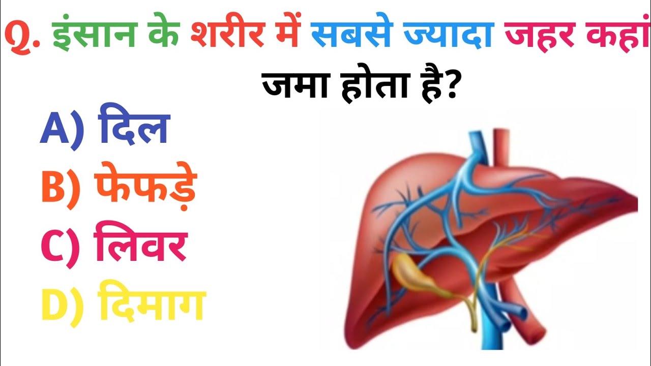 GK Question || GK In Hindi || GK Question and Answer || GK Quiz || Riya Rawani|| 21