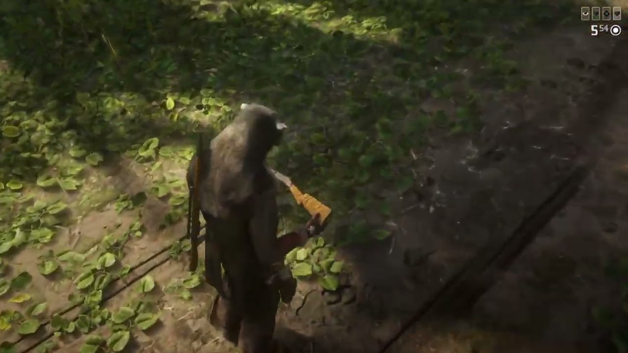Red Dead Redemption 2_Game Play