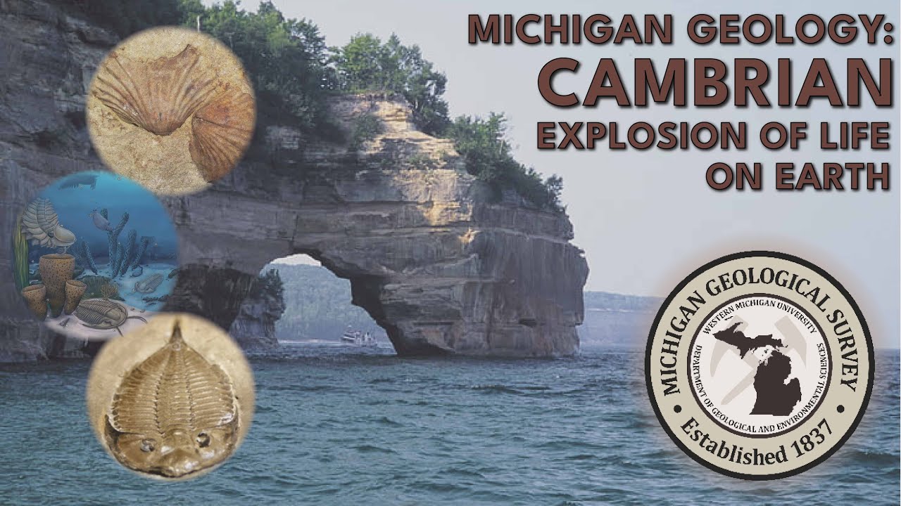 Michigan Geology | Cambrian | Explosion of Life on Earth