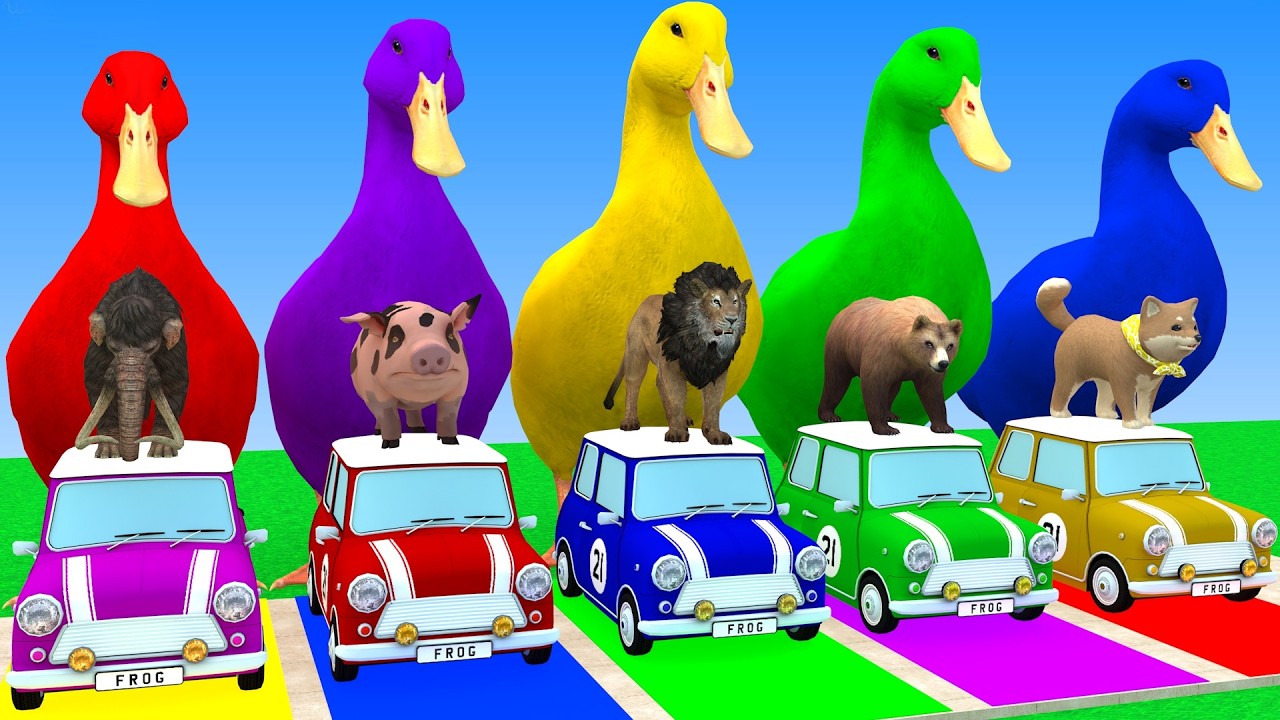 Long Slide Game With Cow Elephant Gorilla Hippopotamus Tiger 3d Animal Game Funny 3d Animals