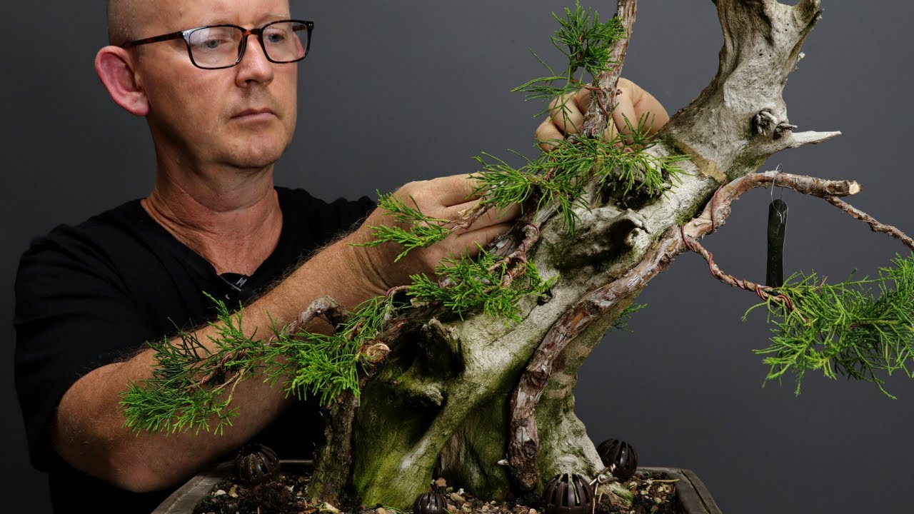 Creating branch structure on a Phoenix graft
