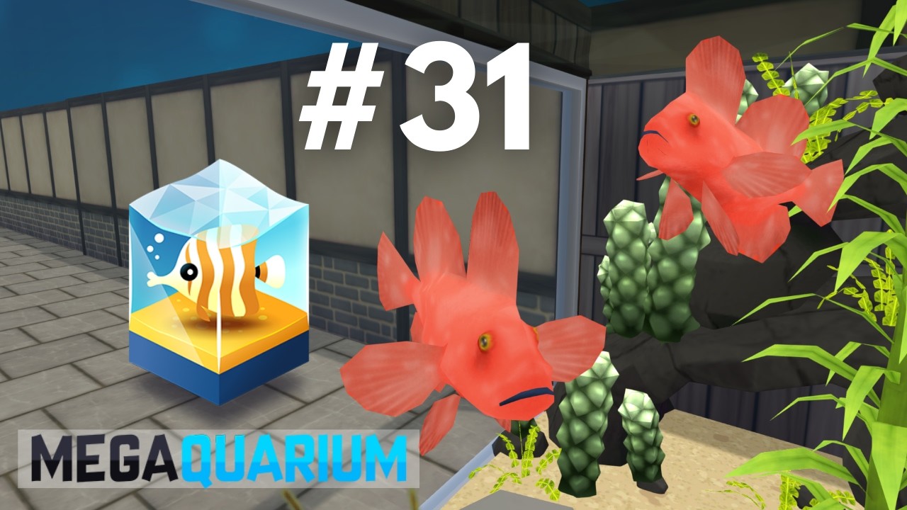 ODDS AND ENDS - Megaquarium (#31)