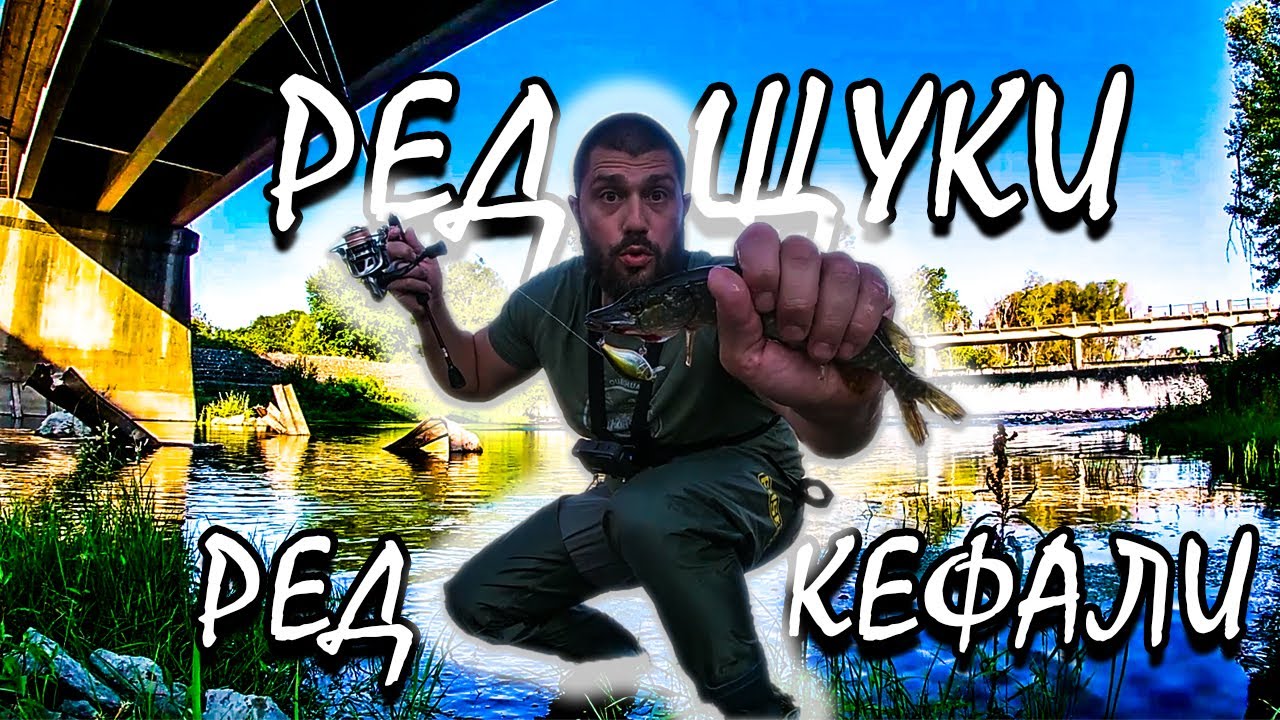 ЕДНА СЛЕД ДРУГА - РЕД ЩУКИ - РЕД КЕФАЛИ !