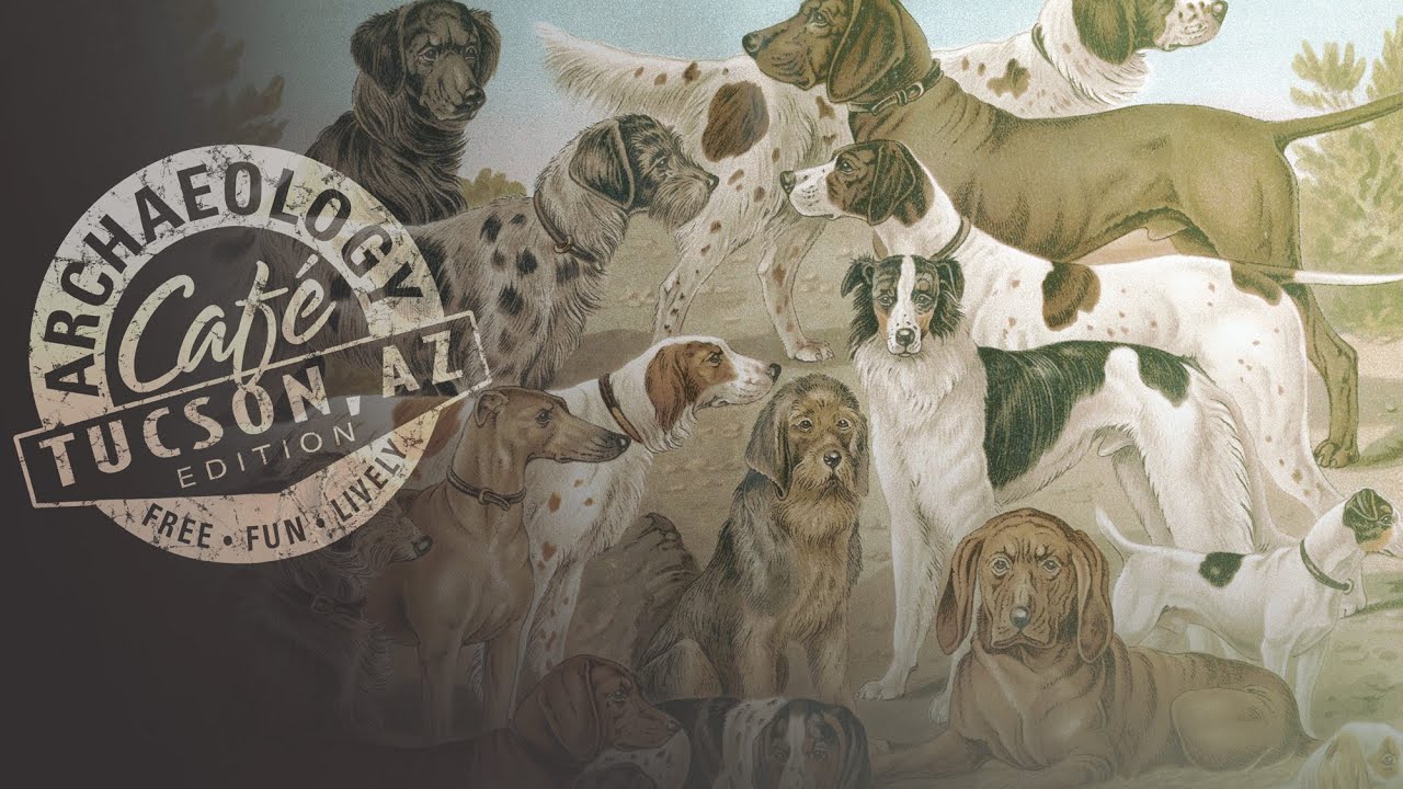 Old Dogs, New Tricks: An Overview of Canine Zooarchaeology
