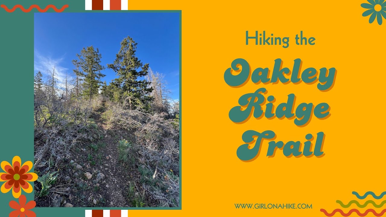 Hiking the Oakley Ridge Trail