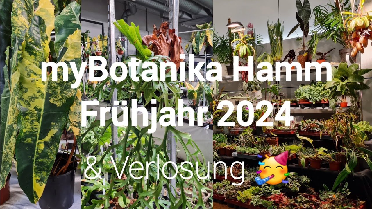 myBotanika Hamm Frühjahr 2024 🌱 | Teil 1 💚 | 1000 Abonnenten Verlosung 🥳