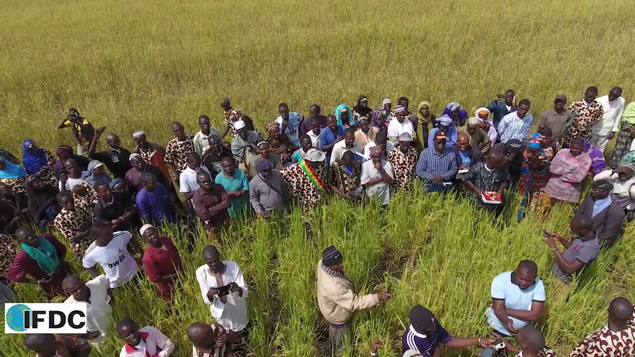 Visite commentée PPU riz à Koumoulai, Sikasso