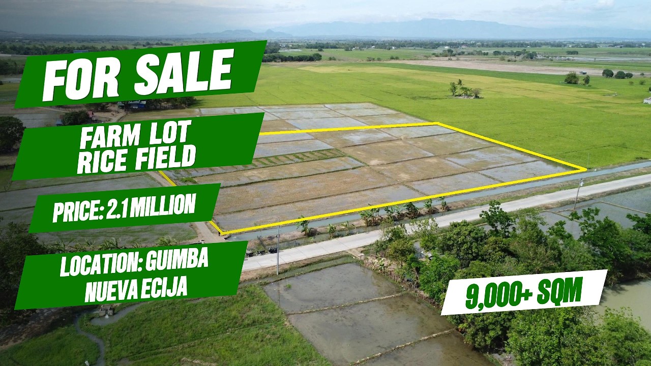 (530) FOR SALE 9,000+ SQM IRRIGATED FARM LOT, ALONG THE ROAD, WIDE FRONTAGE, NEAR TOWN PROPER