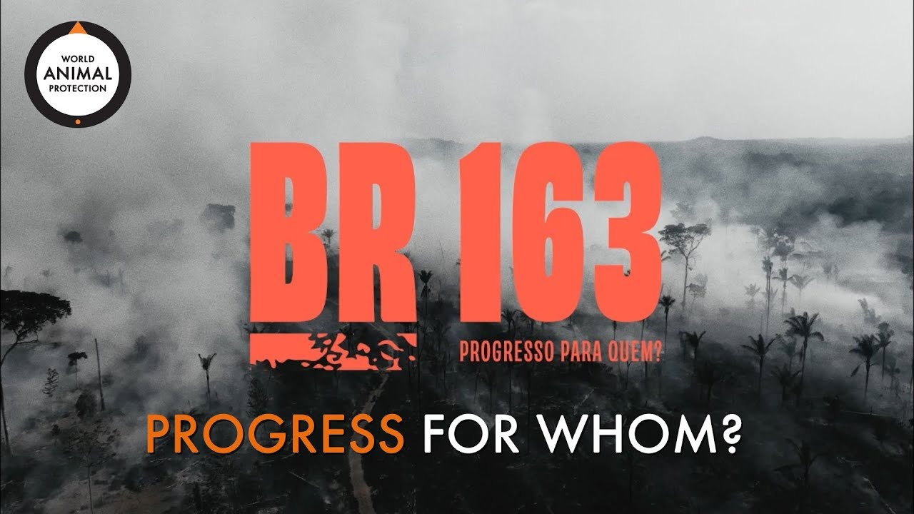 BR-163: Progress for whom? Award winning documentary on Brazil's wildlife crisis