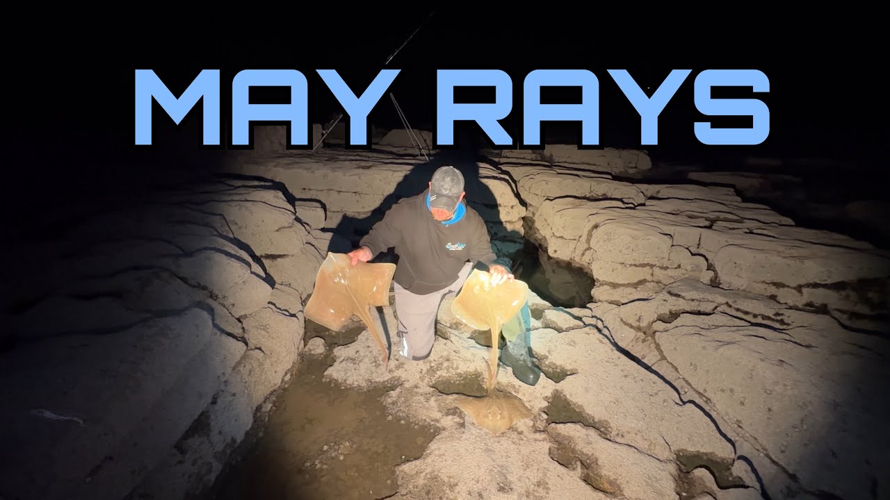 May RAYS & May Rot In The Bristol Channel