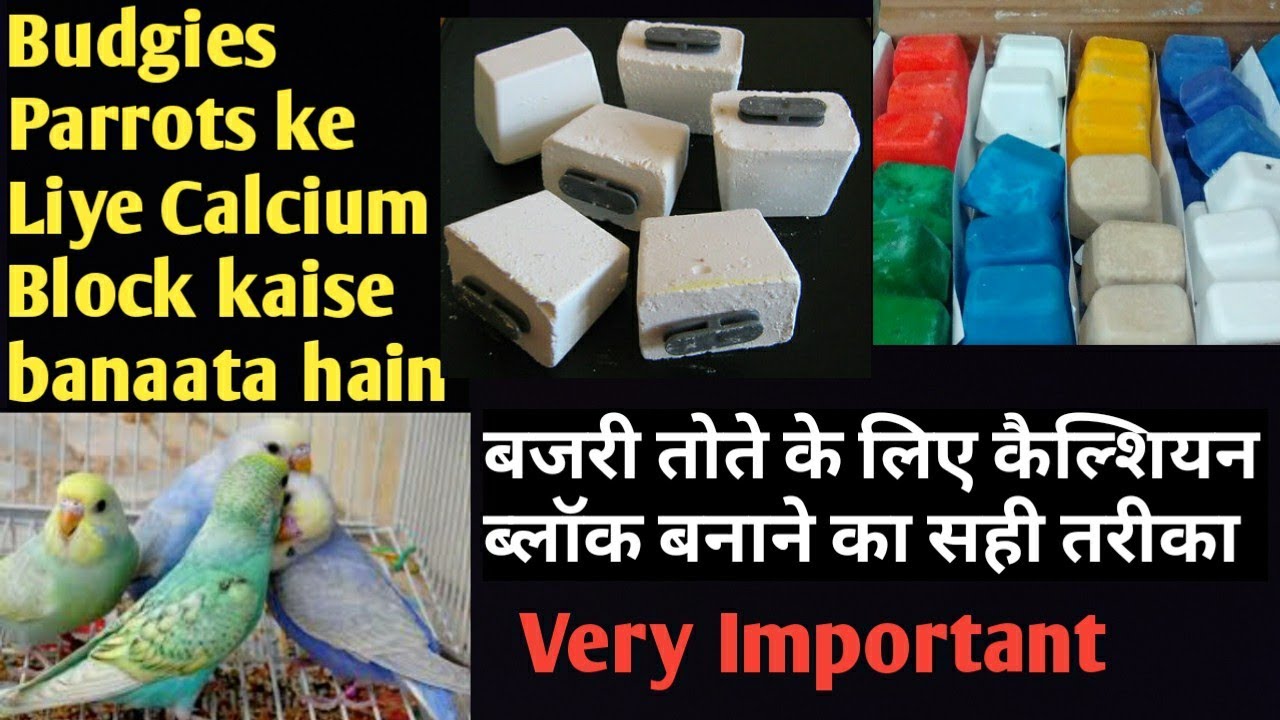 Australian Parrots ke liye Calcium Block kaise banta Hai