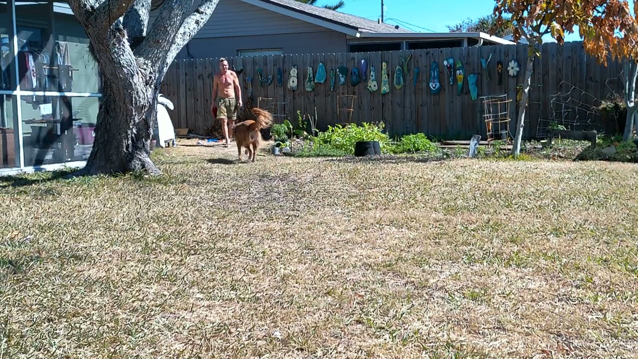 Fetching Foxy 73 Says patience is a virtue