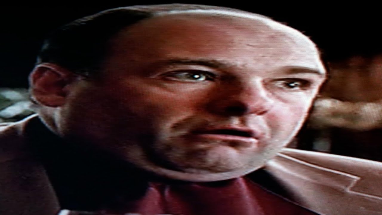 Anthony Soprano Pristojno Vraća Sliku
