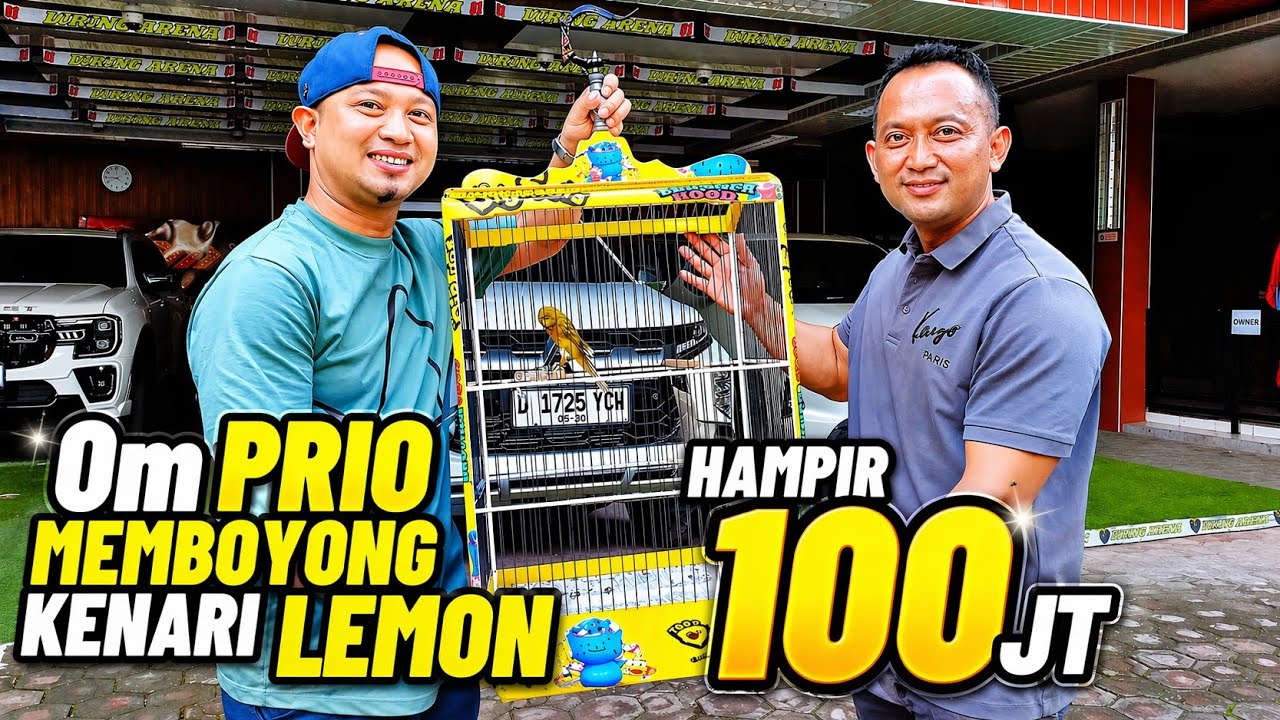 KENARI VIRAL‼️LEMON diboyong Om PRIO EXCELLENT dengan nominal HAMPIR 100 JUTA...