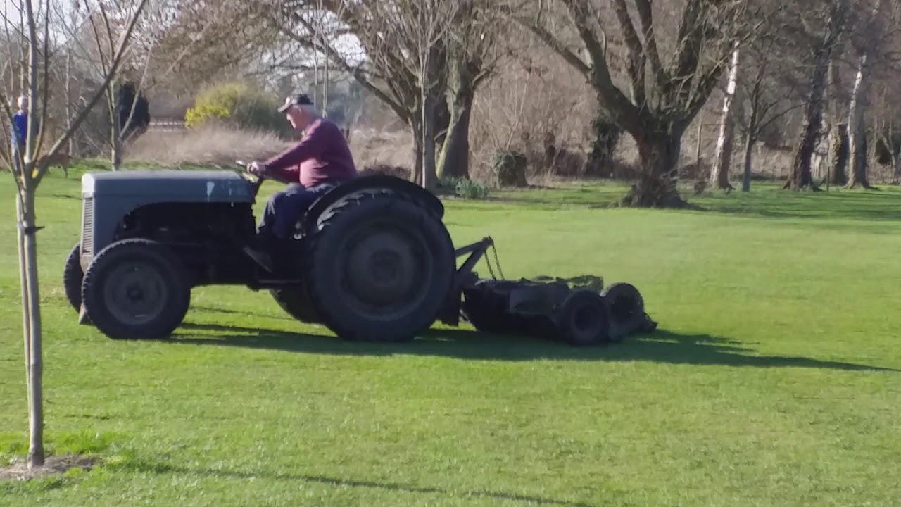 Grey Fergie Ferguson TE20 with gang mowers.