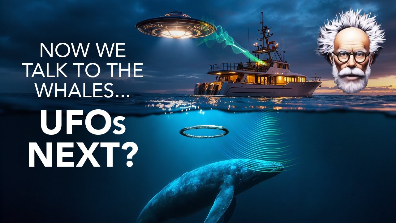Alien Communication Project 