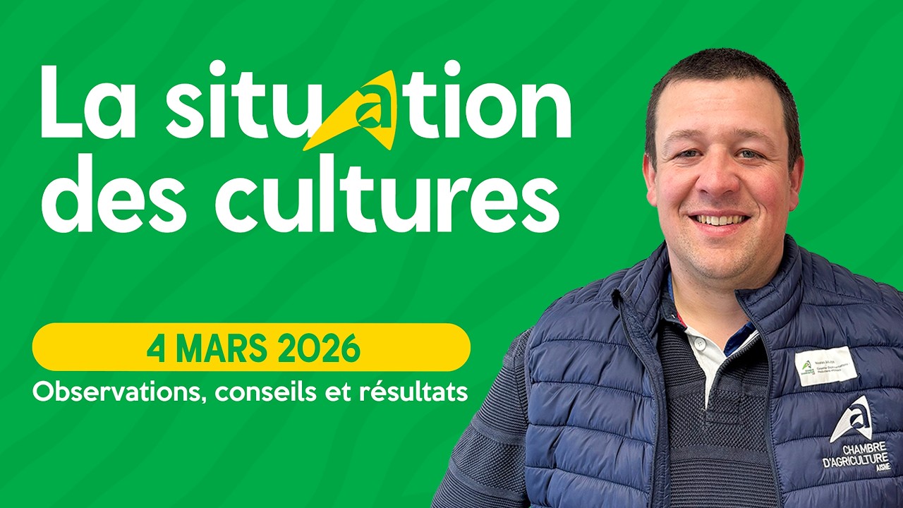 Situation des cultures du 4 mars