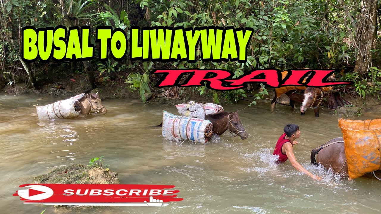 BUSAL TO LIWAYWAY TRAIL | daan pababa nang bundok