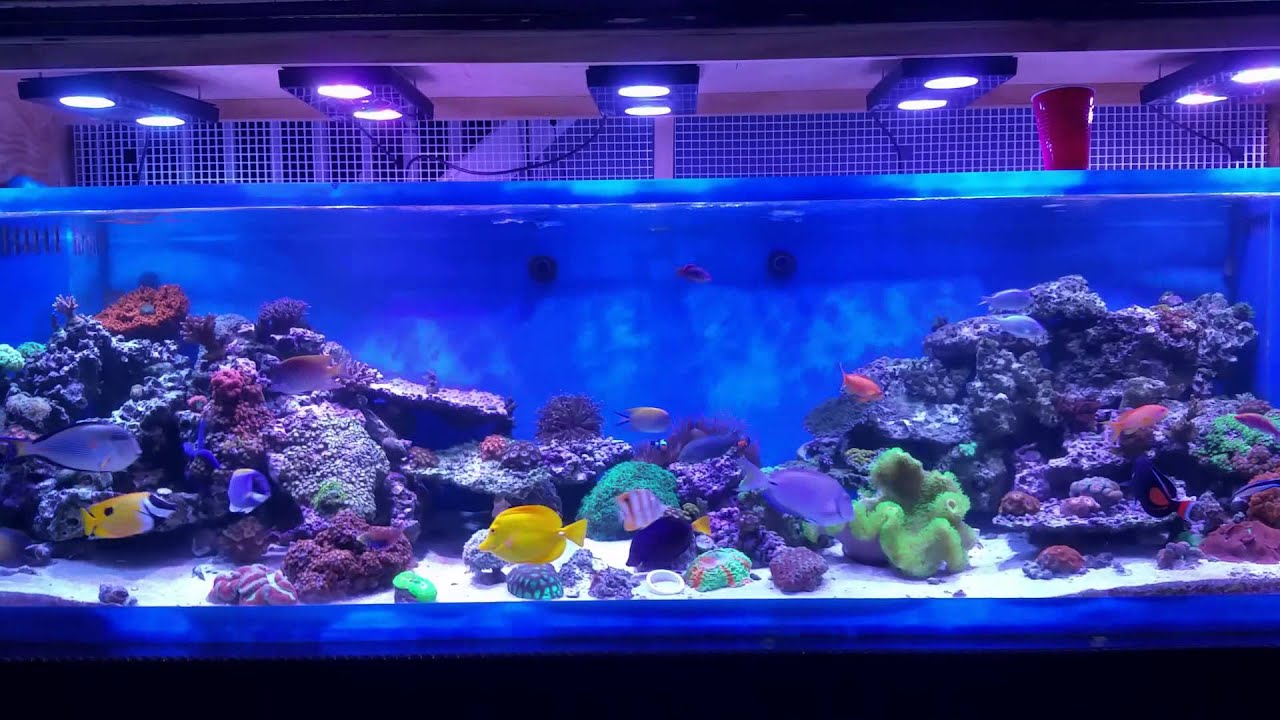 Achilles tang update 1st day together