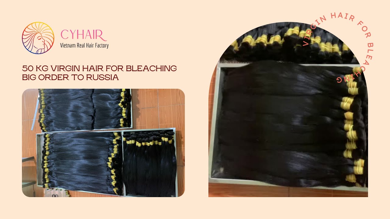 50 KG Virgin Hair For Bleaching Big Order to Russia Hairshop | CYhair Vietnam Hair Factory
