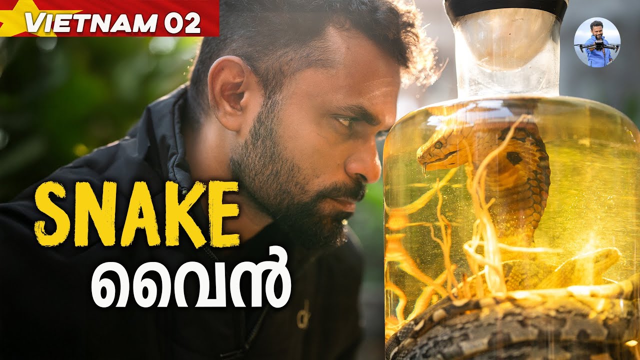 🇻🇳പാമ്പിനെ ഇട്ടു വാറ്റിയ Snake Wine | We Tried Snake Wine in Vietnam! 🐍 #02