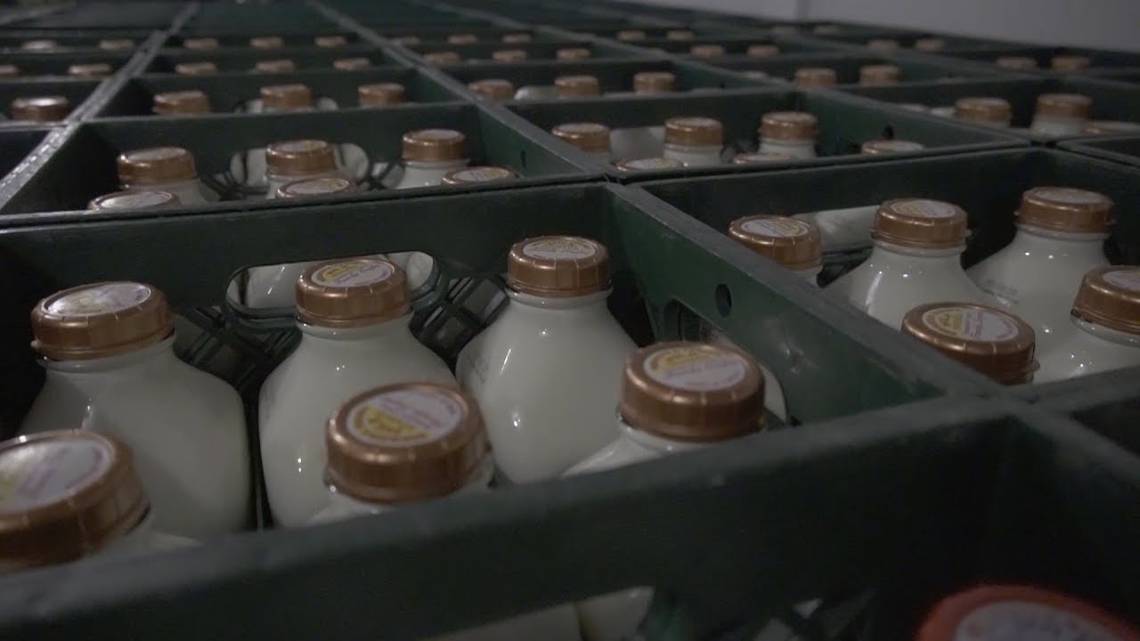 PCN Milk Man South Shore