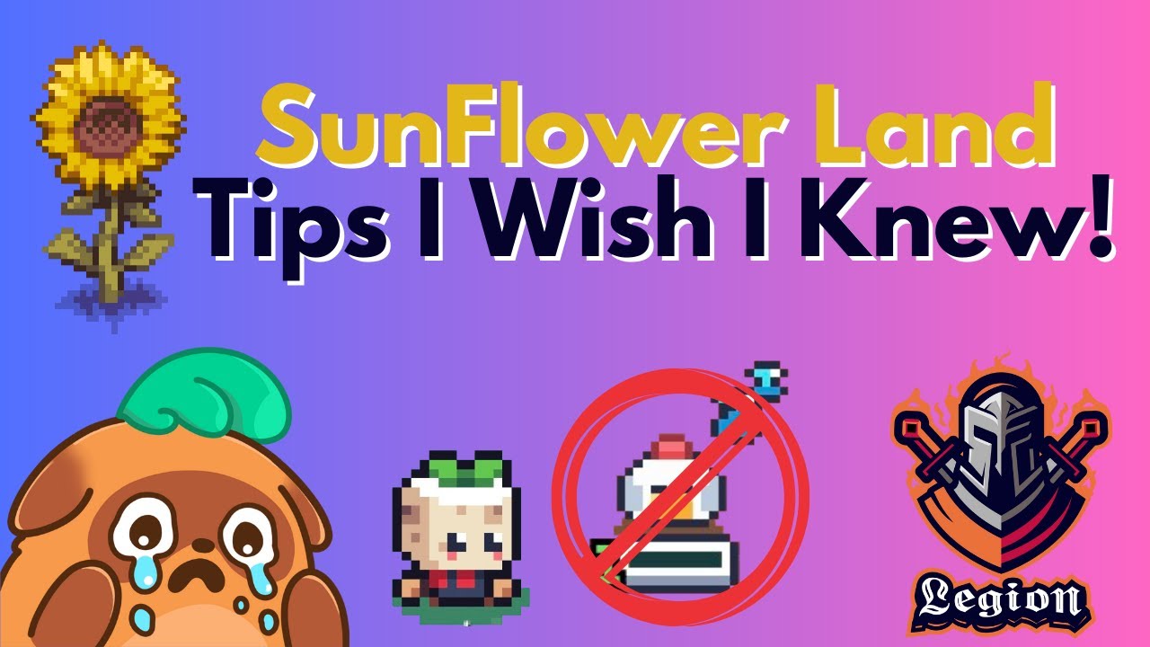 Sunflower Land New Player Guide and Tips! P2A Starting Soon!