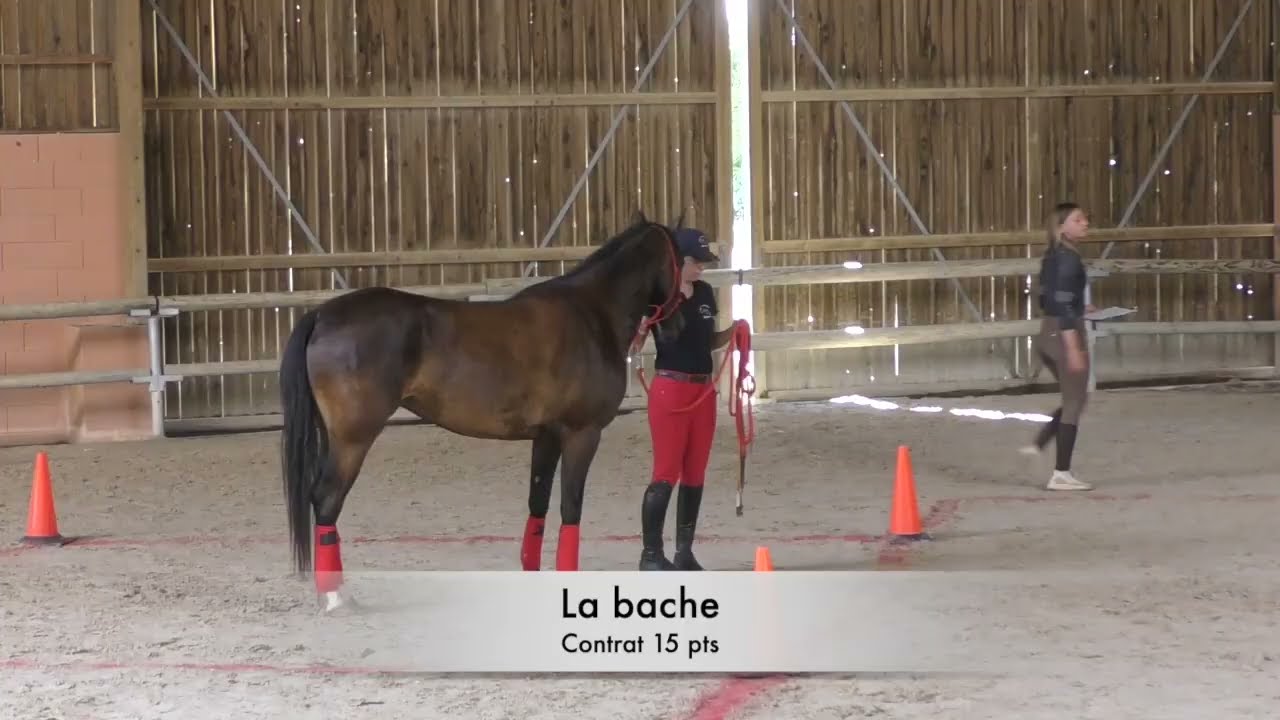 2024 Equifeel Lamotte Beuvron Club 2 avec Image du Rond Pré jour 2