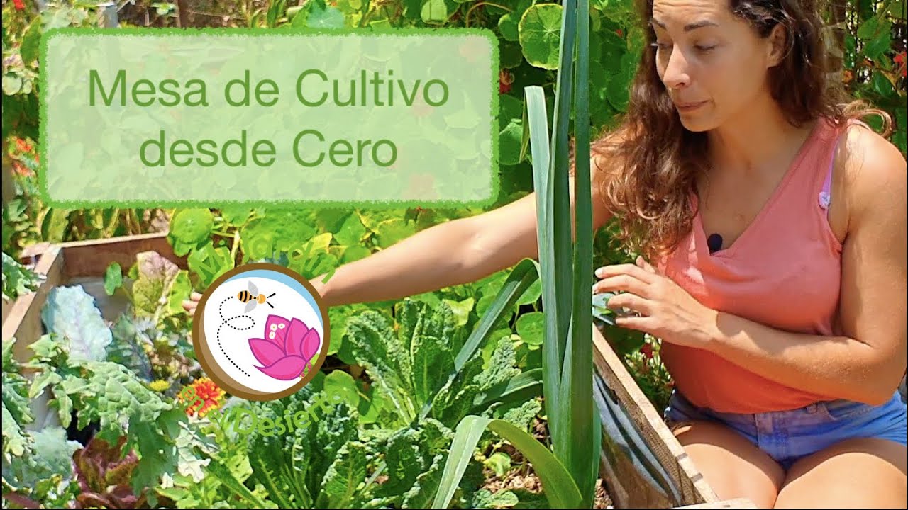 Como hacer un huerto desde Cero (Ep 1)