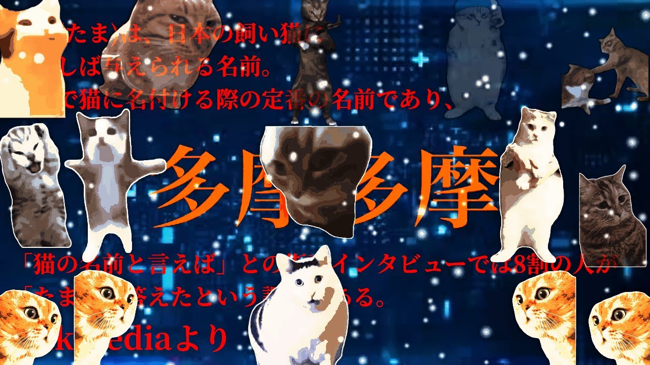 【音MAD】猫ミームで多摩多摩
