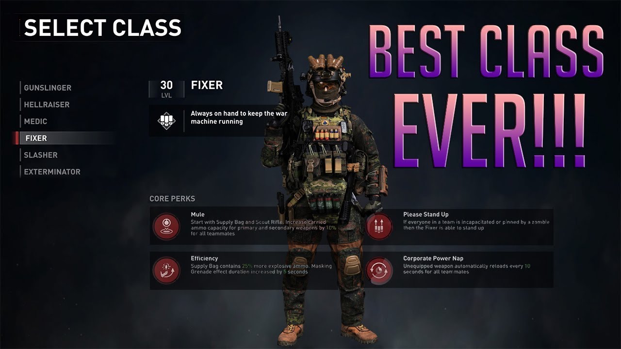 The Best Fixer Build For Insane Mode || World War Z