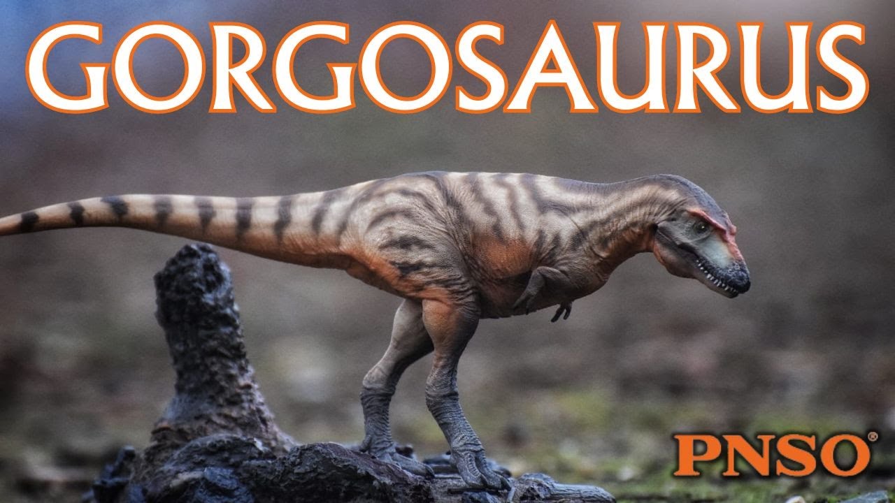 Gorgosaurus PNSO - La Lucertola Terribile - scienzunboxing