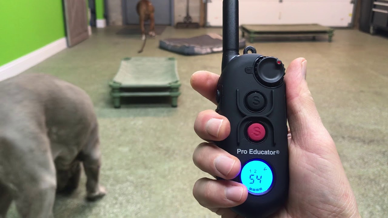 E-Collar Tech PE-900 | Quick Demo on Programming your 