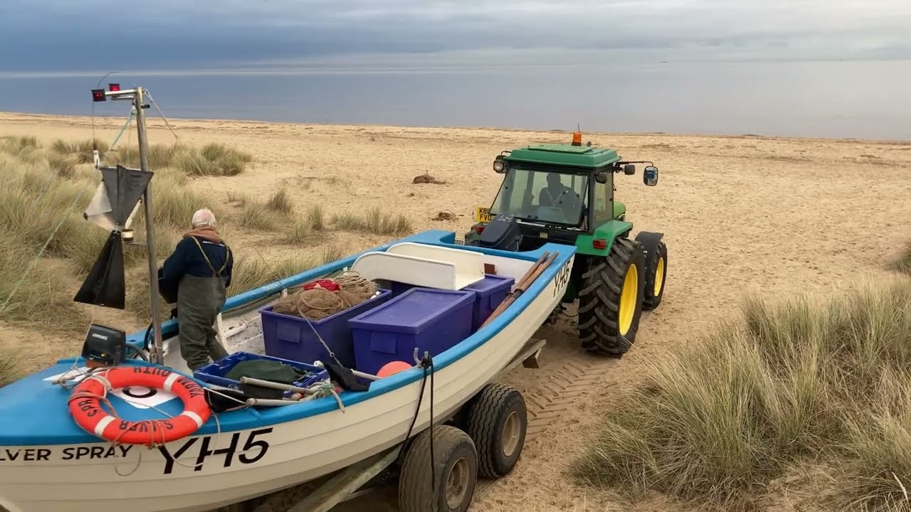 Sprats have vanished! Nice few herring for the market. Beach boat sea fishing for food and bait.
