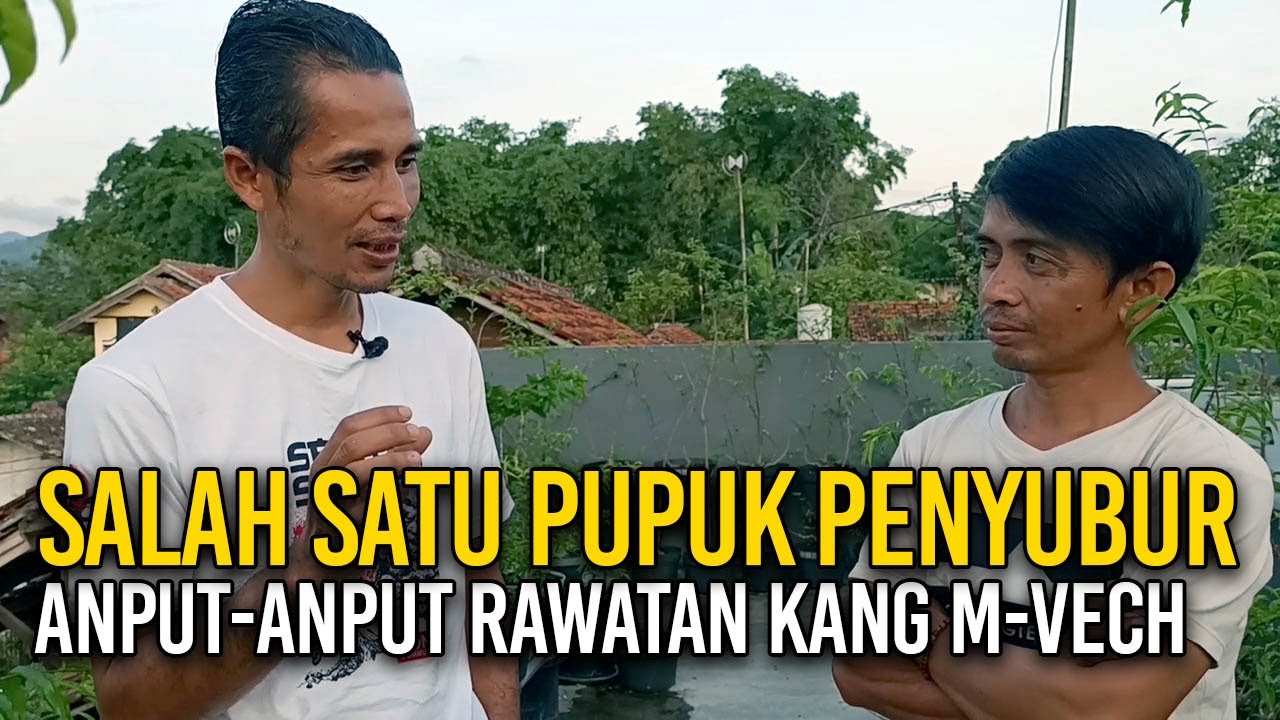 🌳 BAGAIMANA KANG M-VECH MERAWAT DAN MENJAGA KESUBURAN POHON-POHON BONSAI ANTING PUTRI ❓❓