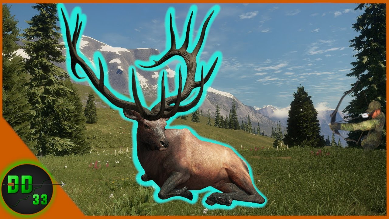 Hunting The Highest Peaks in The Rocky Mountains! Hunting Call Of The Wild