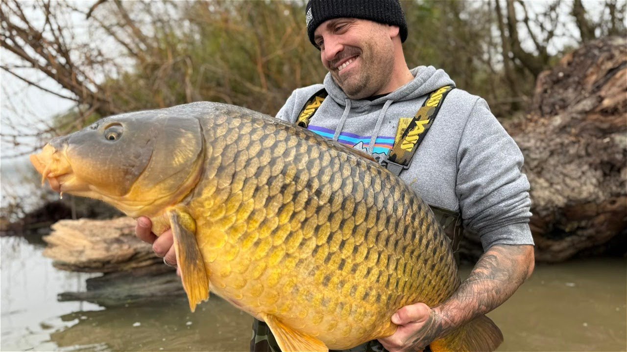 Freaky Carp Baits - Zwischen Stausee und Fluss-PB