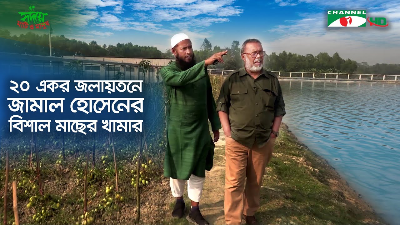 ২০ একর জলায়তনে জামাল হোসেনের বিশাল মাছের খামার | Shykh Seraj | Channel i |