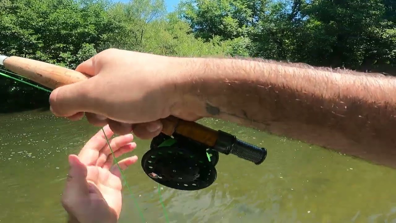 Мухарски риболов на кефал / chub fly fishing