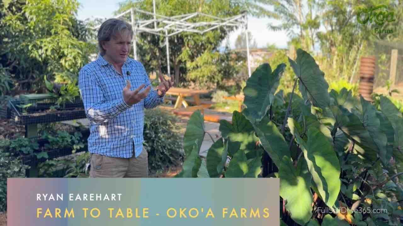True Farm-to-Table Experience: Hawaii's Oko'a Farms Orchard Dinner