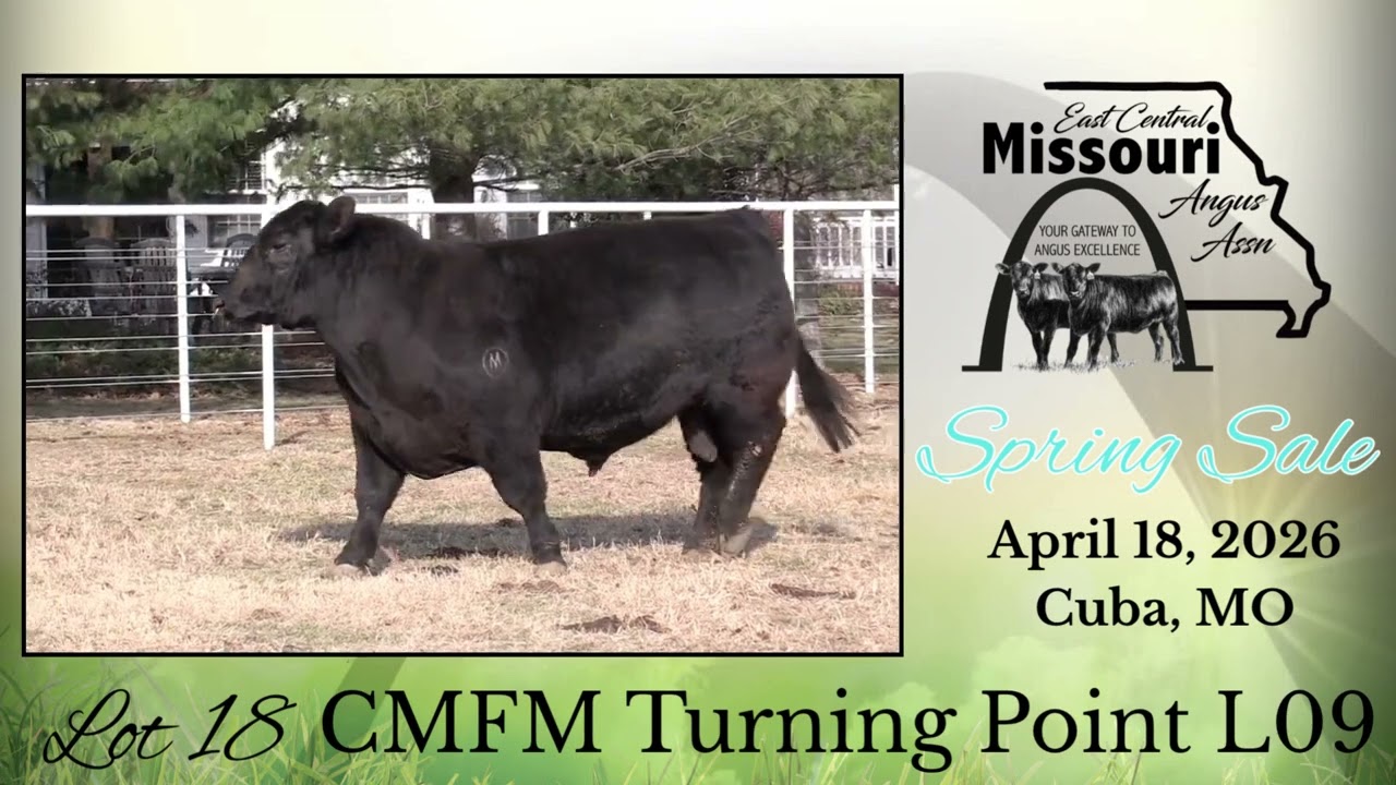 East Central Missouri Angus Association | April 18, 2026