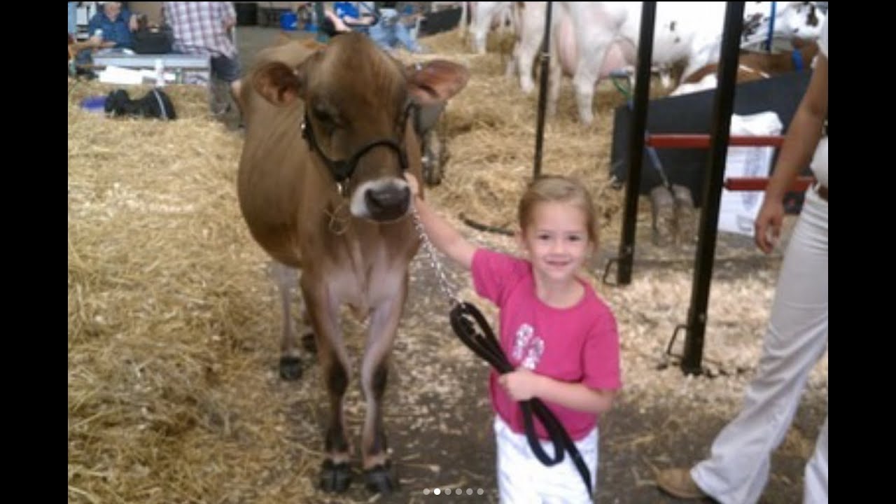 2026 Farm Credit for Agricultural Advancement Scholarship