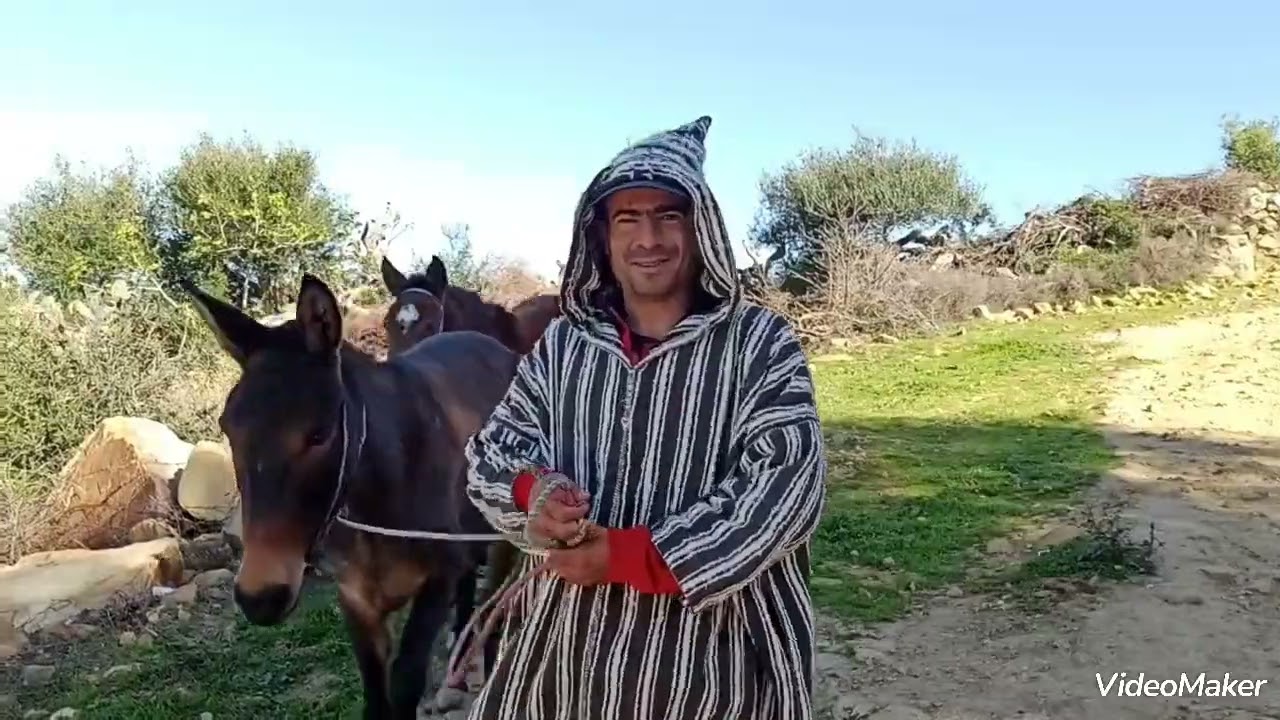جولة رائعة من عين معبد بني عروس إقليم العرائش ♥️ الجميلة عروس الشمال ♥️ المرجو اشترك في القناه وشكرا
