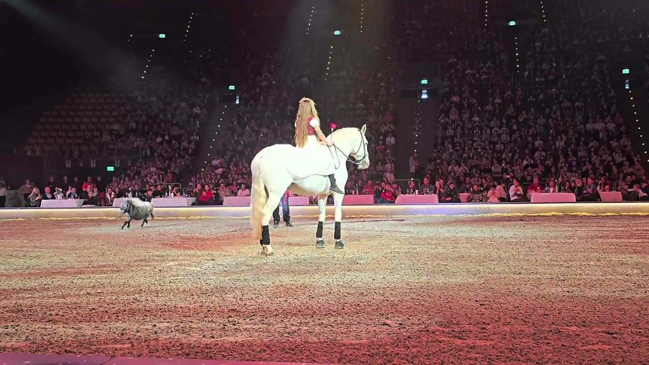 Ponys von Messina München Olympiahalle 2025 Grand Moments #horse #pferde #cavalluna