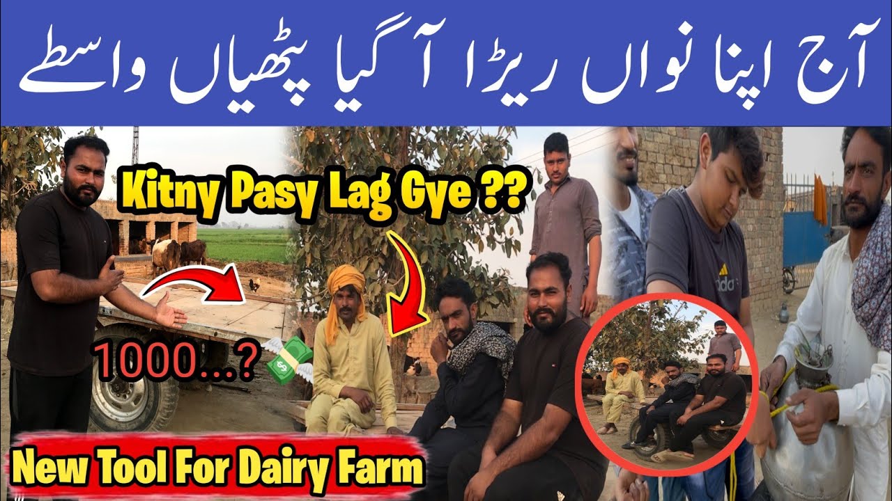 Dairy Farm Ke Liye Naya Tool Le Liya 😱 | Total Cost Reveal 💰 | Rayre Ty Lag Gaya Mela 😂