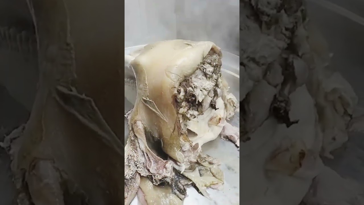 Cow Whole Head Cooking Process Siri Paye