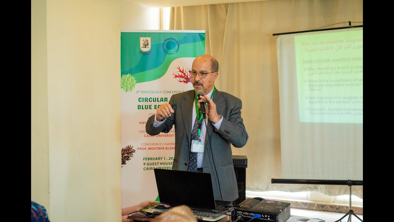 Economics of Seagrasses: A National Underutilized Resource | للأستاذ الدكتور احمد حجازى