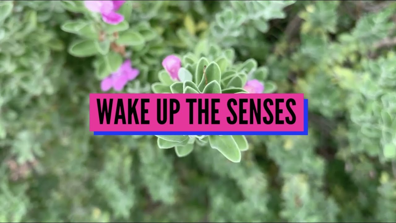 Quick Writing Prompt: Wake Up the Senses