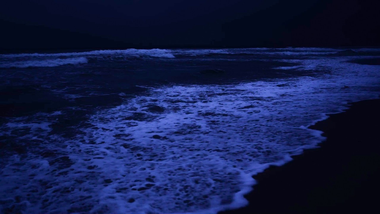 No Ads Fly Into Sleep Immediately • Ocean Sounds for Deep Sleep Journey • Release Insomnia